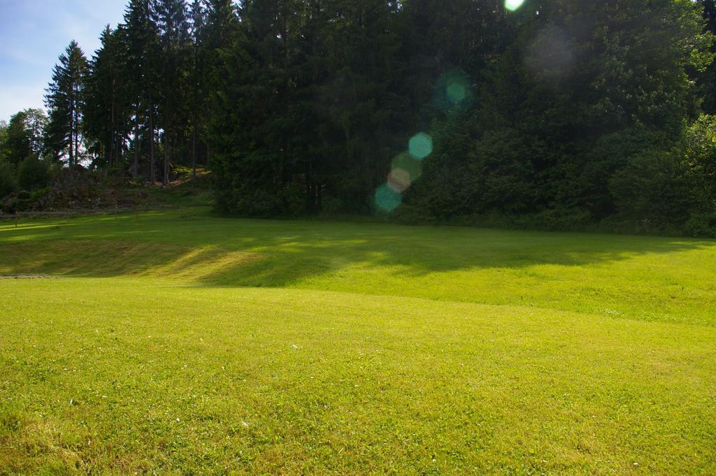 Penzion U Lipna Přední Výtoň Exteriör bild
